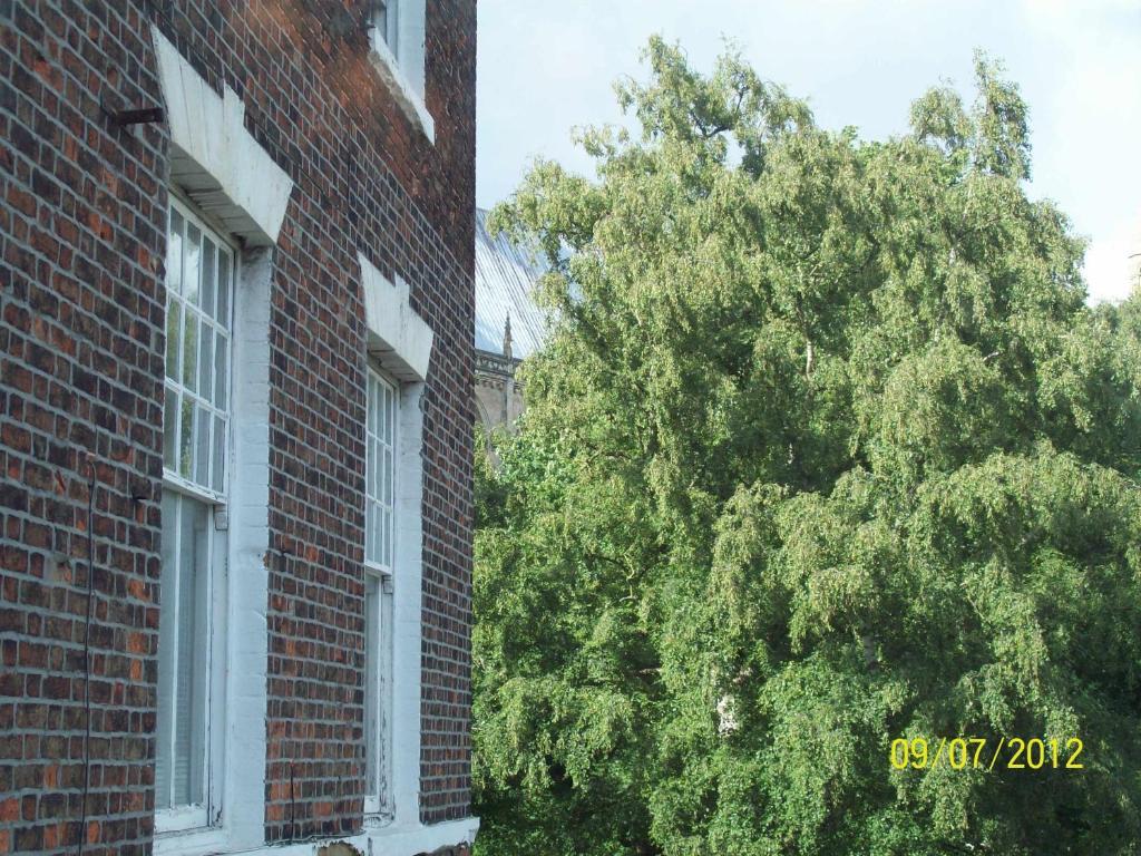 Minster Garth Guest House Beverley Room photo